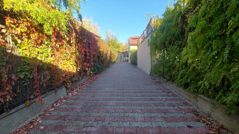 Stirbei Voda, Berzei, casa boiereasca singur curte,